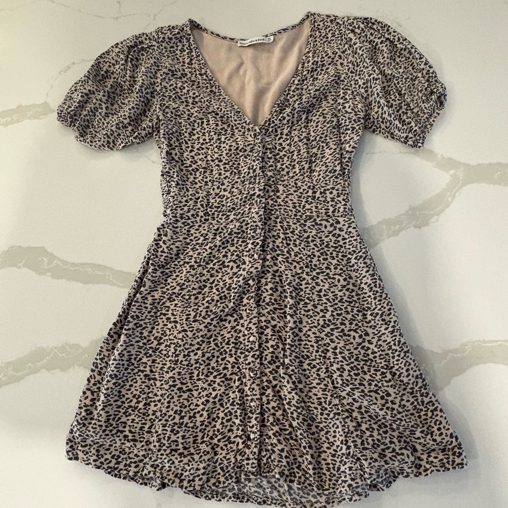 Abercrombie & Fitch Leopard Print Mini Dress